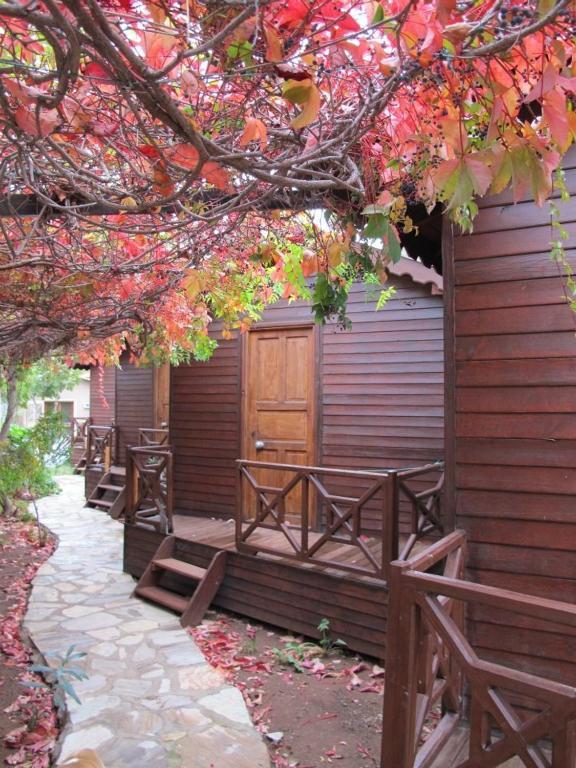 Changa Hotel Kemer Pokój zdjęcie